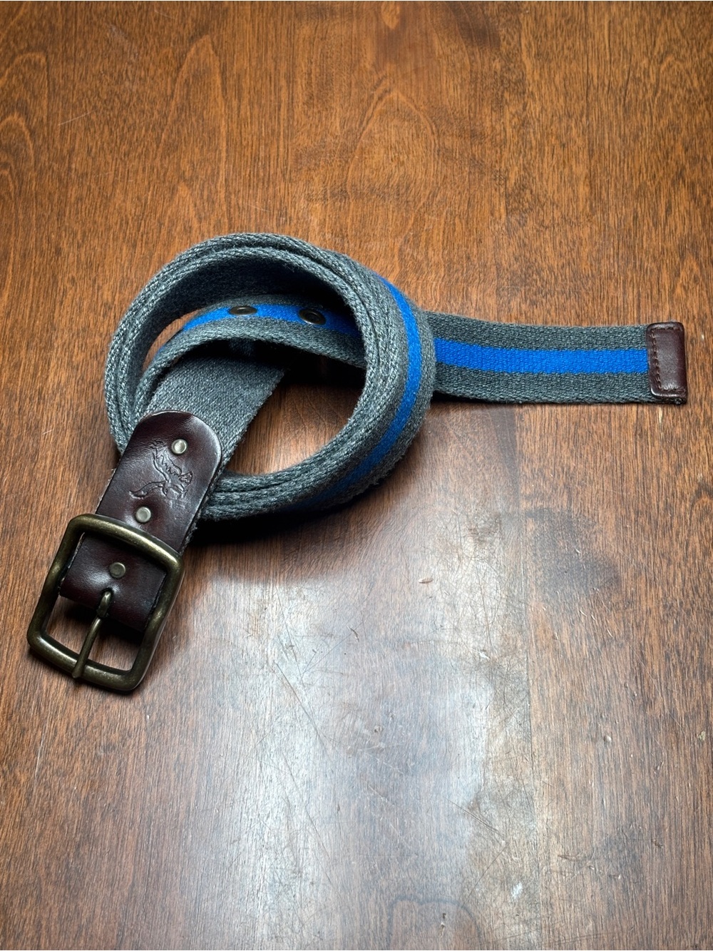 American Eagle Outfitters Gray Canvas Belt with Blue Stripe and Leather Trim